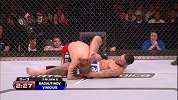 UFC-14年-UFC174自由格斗：巴盖洛提诺vs维尼修斯-专题