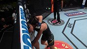 UFC on ESPN24：罗德里格兹VS米歇尔-沃特森