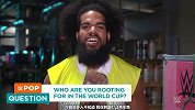 WWE随堂小测验：世界杯32支球队你支持谁？佩吉为英格兰三喵军团加油