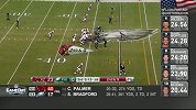 NFL-1516赛季-常规赛-第15周-费城老鹰17:40亚利桑那红雀-精华