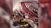 冰箱被掏洞，冷冻香肠惊现齿痕？女子过年返家后发现冰箱里有不明泡沫，视频曝光