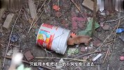 小狗被困深井，好心小哥心生一计，谁知小奶狗太呆一点不配合