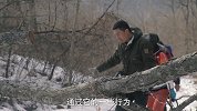 生态守护者第一集：寒冬自驾入深山，追寻脚印初见东北虎