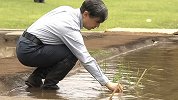 日本一男子游过护城河私闯皇宫 事发时天皇正在宫内插秧
