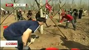 北京新闻-20120414-首都文化界共植千亩首都文化林