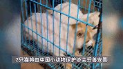 直击昆明动物园猴山两只猫安全移出：健康状况良好，已被带走