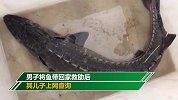 男子捡一条1米多长大鱼回家 儿子一查鱼的品种报警了