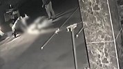 男子按住猫头让大狗撕咬 猫主人：是故意的 他们还在笑