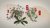 《古典医籍里看中国》今日上线：让中医药文化“活”起来