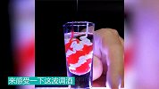 感受一波调酒  味道怎样不敢说