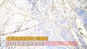 帧帧如画！新疆现百里雾凇恰若冰雪童话世界