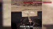 藏马熊坠入4米深的垃圾场，警民搭梯子成功营救，网友：看得出来人和熊都瑟瑟发抖