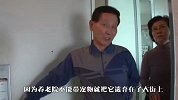 狗狗被抛弃街头，暖心流浪猫每天陪它等主人，看完泪目了