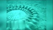 日本海底怪圈