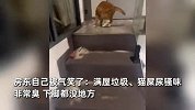 2名女租客突然退租不要押金，房东开门瞬间吐了：遍地猫屎猫尿