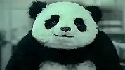从前有一只熊猫 后来它贱死了