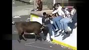 愤怒的公牛人类惹不起