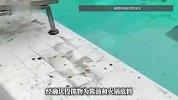 成都男子凌晨朝泳池投掷酱油、火锅底料，泳池秒变“麻辣汤底”，场馆回应