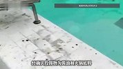成都男子凌晨朝泳池投掷酱油、火锅底料，泳池秒变“麻辣汤底”，场馆回应