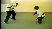 让你见识下最强捍的功夫名猩