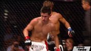 UFC-16年-格斗之夜81自由格斗：克鲁兹vs法贝尔-专题