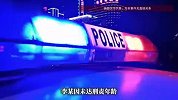 李某（男，15周岁）撬砸10余辆豪华汽车，盗窃财务被行拘