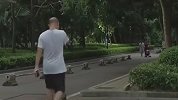 大师以修行为名强行与女弟子发生关系 称其精液中有特殊的能量