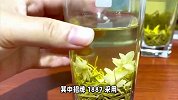 茉莉花茶品牌哪个好