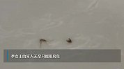 密集恐惧者慎入！北京一居民家中出现成千上万只蚊子