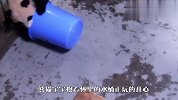 奶爸到处找不到水桶，原来又是被这小淘气偷走了，下一秒忍住别笑