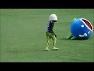 综合-17年-新晋蠢萌网红 日本棒球队吉祥物迷之变形-专题