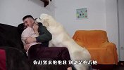 男主女人秀恩爱，狗狗：这吨狗粮我不吃！场面笑翻了