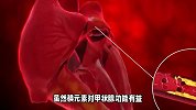 甲状腺不好人群，牢记少碰“两蛋、四菜”，帮助保护甲状腺功能