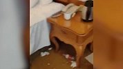 隔离人员退房后屋内满地纸巾酒瓶脏乱不堪 酒店：在押金中扣除