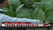 白菜运输难甲醛保鲜成行业潜规则