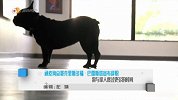 [每日游报]3.15细数过往一年游戏界的尴尬谎言 3.15.mp4