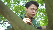 跑树上吃野味？农村小伙吃出新高度！