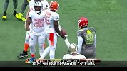 NFL-1314赛季-职业碗-桑德斯之队21：22莱斯之队-精华