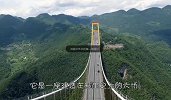 国内最奇怪的大桥，设计师仅仅初中文化，网友：是工人拿反了图纸