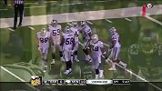 NFL-1415赛季-季前赛第1周 明尼苏达维京人10：6奥克兰突袭者-全场