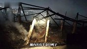 温州一养殖户鸭棚深夜突发火灾，烈火吞噬鸭棚，千余只鸭子逃窜