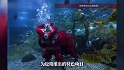沈阳一海洋馆水下舞狮引热议，馆方回应