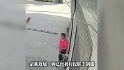 湖南一只狗发疯似的追咬女孩，发布者称“该狗已流窜咬伤多人”
