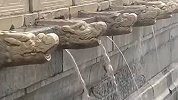 北京突降暴雨 故宫三大殿再现龙吐水奇观 游客慌忙躲雨不忘拍照