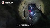 非洲惊现“万米巨蟒”？16国专家日夜赶往，看完结果不淡定了
