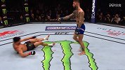 UFC-17年-UFC第217期主赛全程（英文解说）-全场