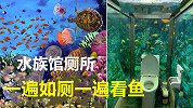上厕所被上百条鱼围观，最特殊的水族馆的厕所，太有创意了！