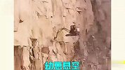 这是挖掘机成精了？还有什么是你们干不了的