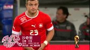 世界杯-14年-百大球星·沙奇里-新闻