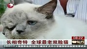 长相奇特 全球最老双脸猫